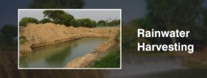 RAINWATER HARVESTING- AN EFFECTIVE WAY TO CONSERVE WATER AND SAVE MONEY
