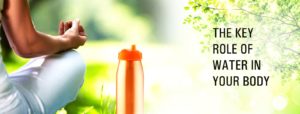 THE KEY ROLE OF WATER IN YOUR BODY