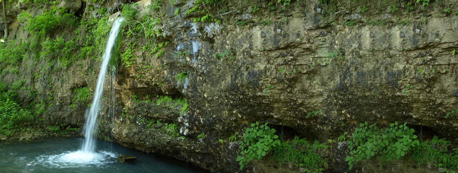Why should I Drink Natural Mineral Water daily?