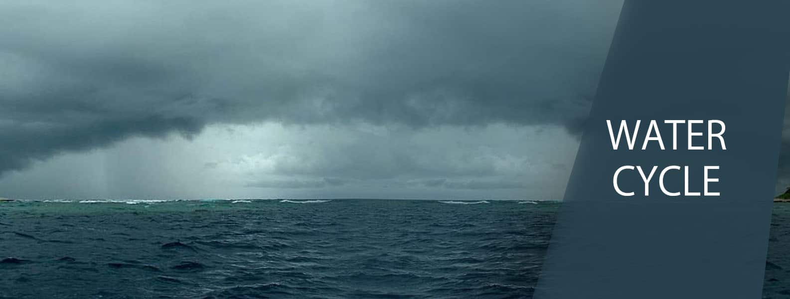 The Ocean’s Role In The Water Cycle