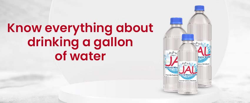 Know Everything about Drinking a Gallon of Water