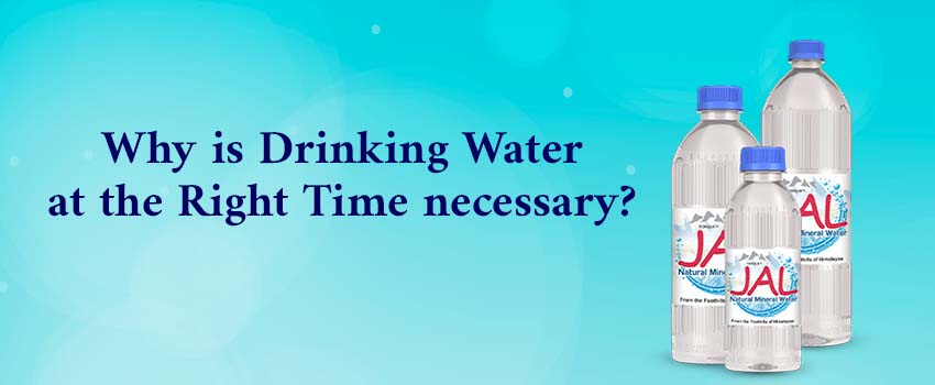 Why is Drinking Water at the Right Time Necessary?